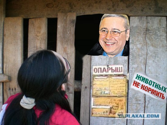 Они уже здесь...