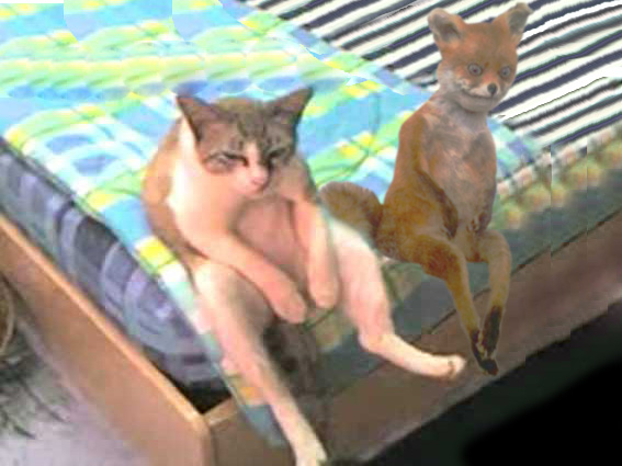 Таксидермия + наркомания