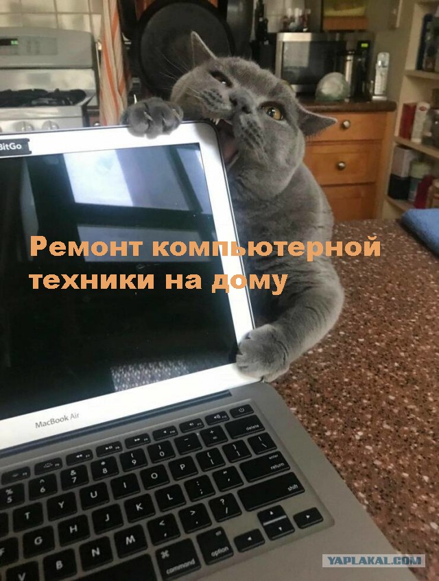 Так себе картинки 23.04.22