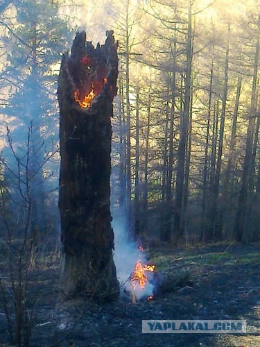 Горный Алтай в первый раз
