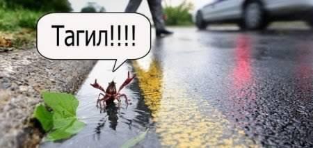 Конкурс коротких креативов (8) - Постапокалиптика