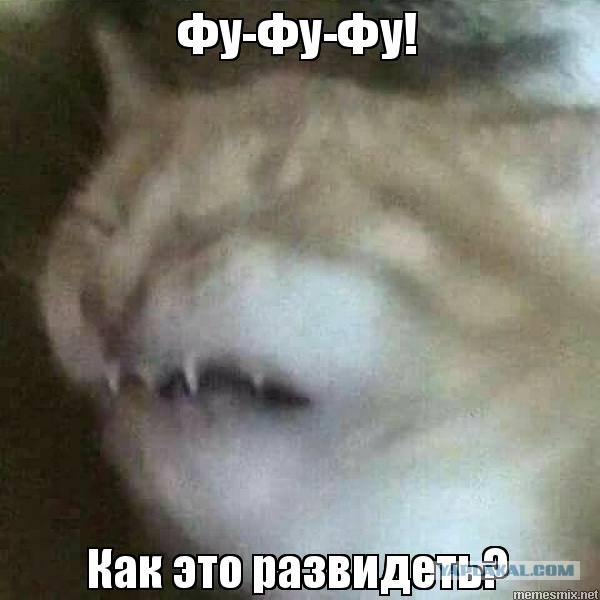 Ассимилируется как может