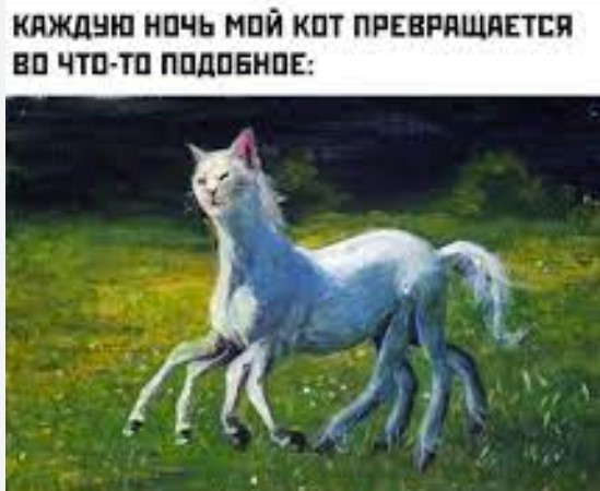 Спите что ли?⁠⁠