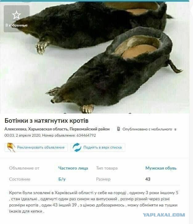Какую обувь купить?