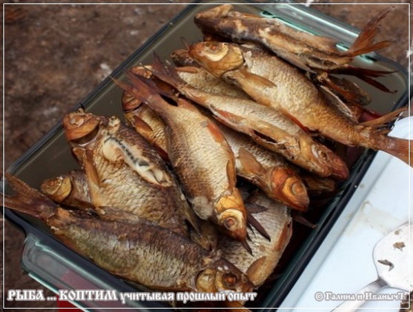 Рыба ... коптим ...