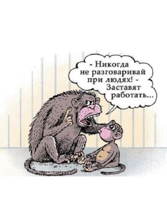Картинки разные с надписями и без