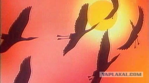 Кавказцы - геи