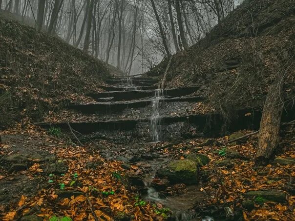Литературная беседка