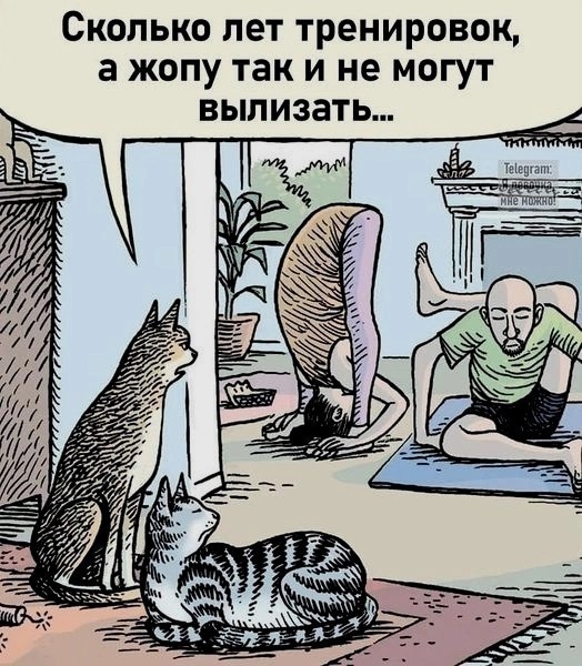 Картинки о том, о сём...