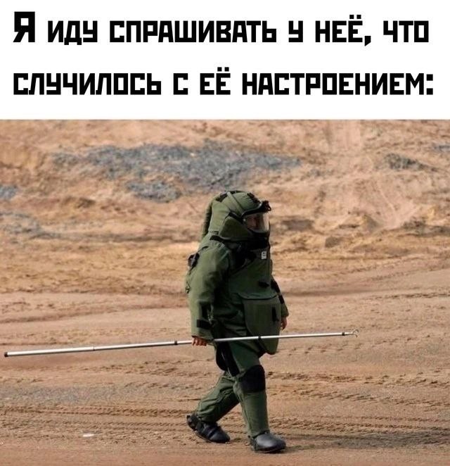 Весёлый полтишок 06.06.25