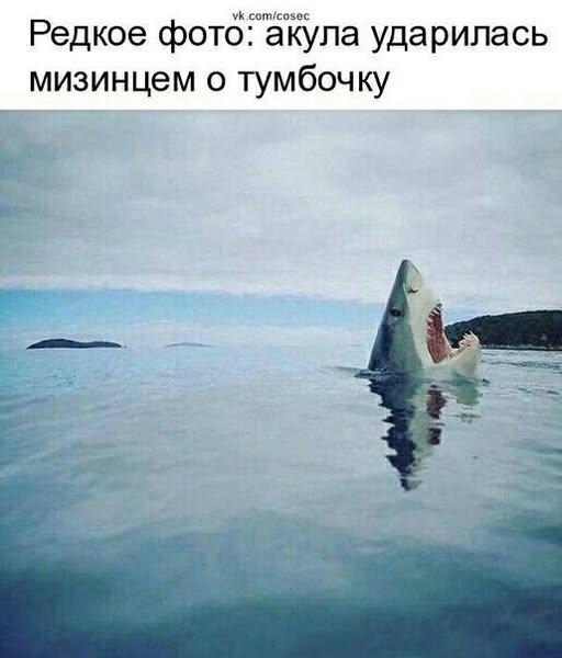 Пятничные бояны