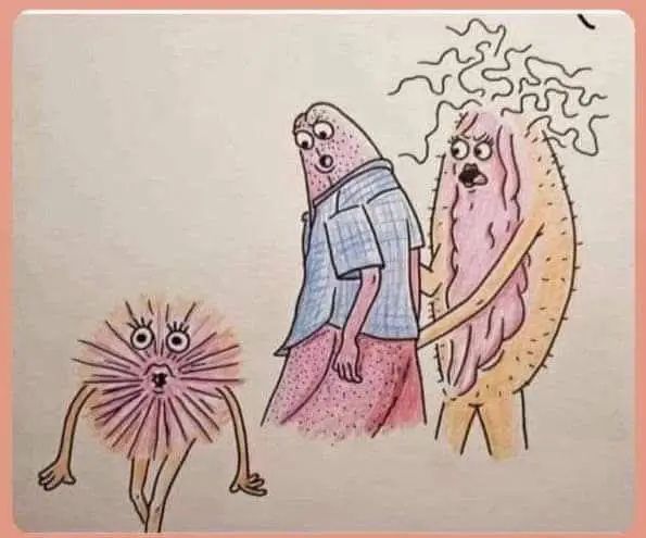Пятничные бояны