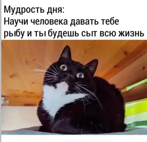 Картиночки, баянчики 10 марта