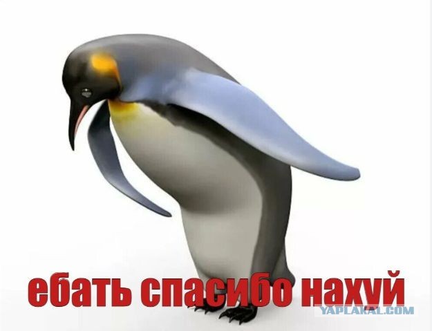 Соловьёв извинился перед Боней