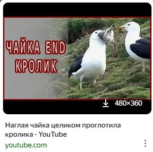 Фиг прокормишь такую