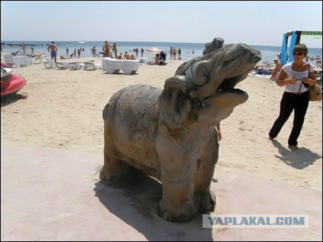 Необычная находка в курортной зоне