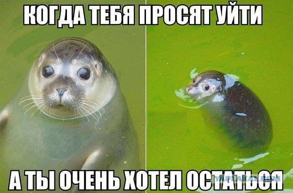 Поднимаем настроение