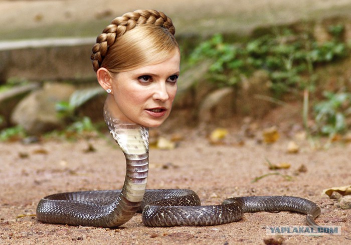 Ты прости что я такая подколодная змея. Змея подколодная. Жена змеюка. Актриса змеюка. Настя змеюка.