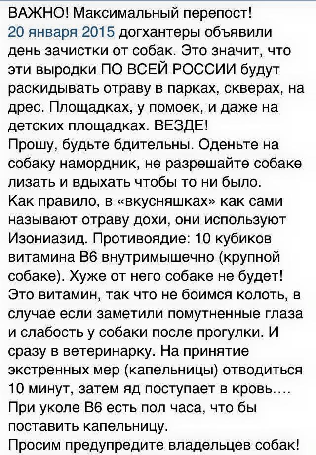 Выгуливайте собак на поводке