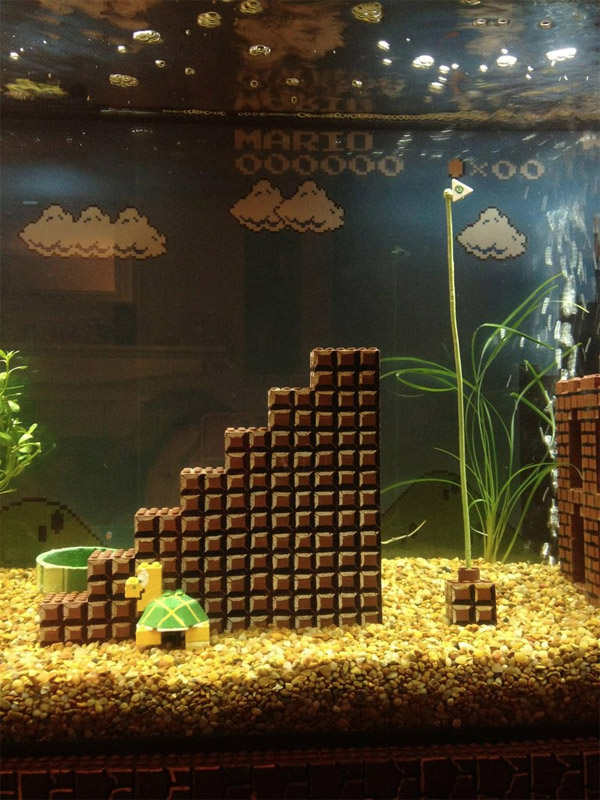 Креативный аквариум в стиле Марио
