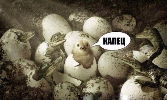 Картинки на субботу