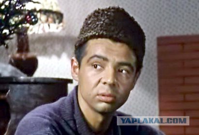 Вечерняя прогулка с дочкой и собакой