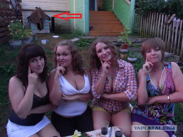 Забавные картинки из Сети