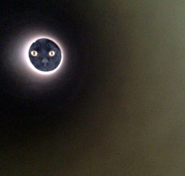 Разные картинки