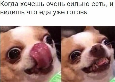 Картинки на утро вторника