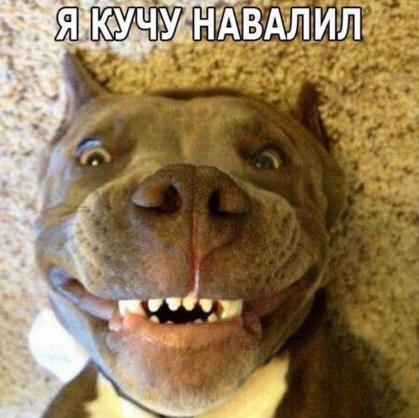Картинки разные
