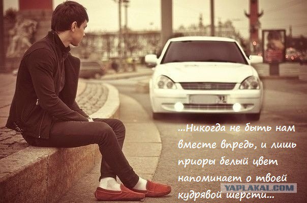 Весёлые картинки