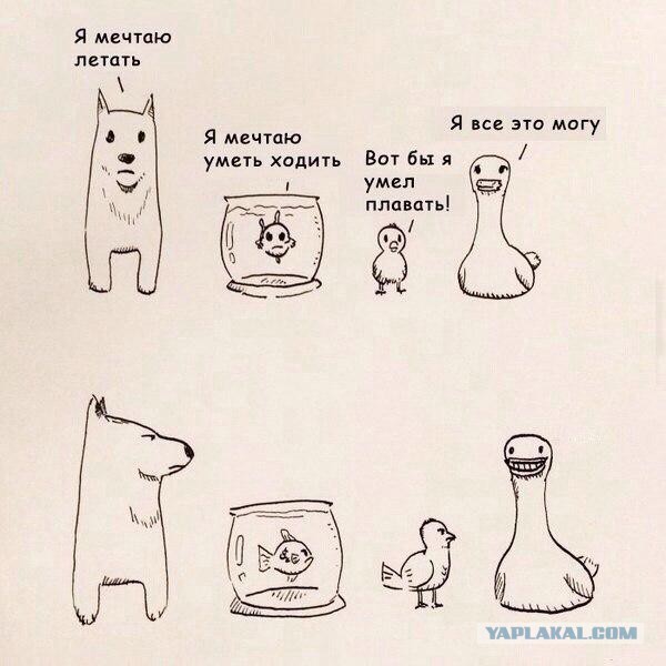 Смешные комментарии из социальных сетей 05.02.2016