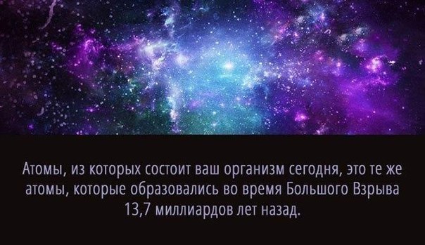 Интересные и веселые картинки