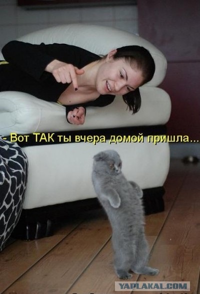 Пятничный алкотрэш и немного чернухи