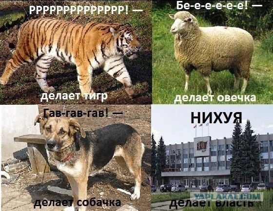 Юмор не для всех