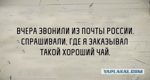 Смешные комментарии 23.10.2016