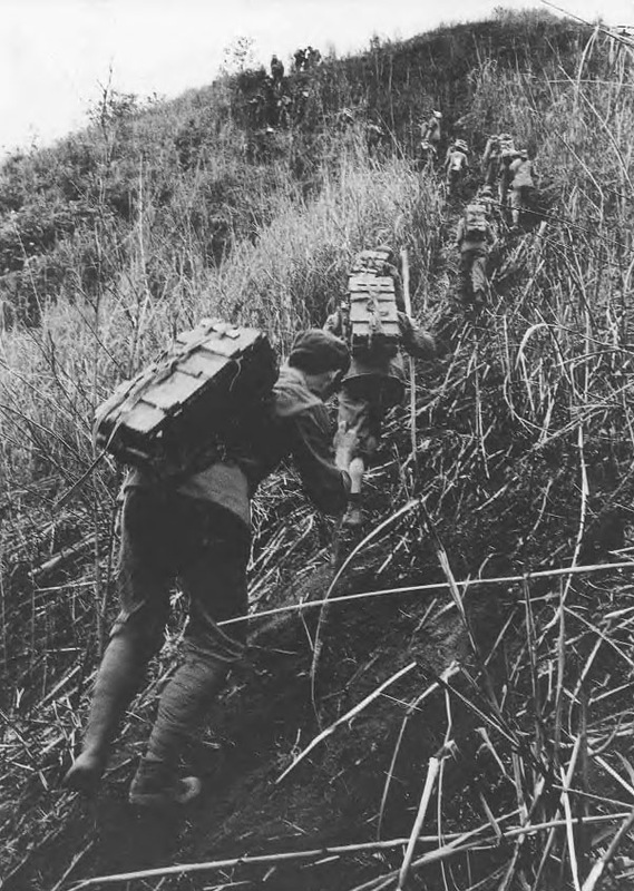 Вьетнамо-китайские война 1979