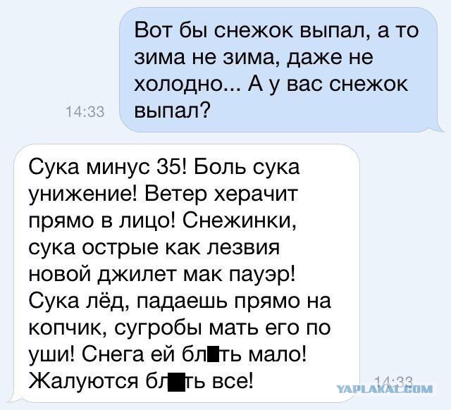 Смешные комментарии из социальных сетей 30.12.2016