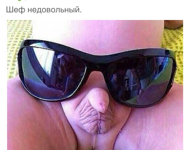 Смешные картинки с надписями 2