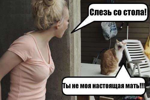 Специфический юмор