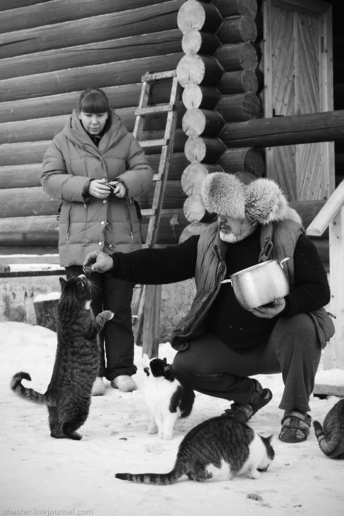 Про котовый рай, снегоходы и замёрзшую Оку.