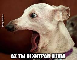 Что делать, если крутые видеоролики снимать хочется, а тратить на это большие деньги — нет