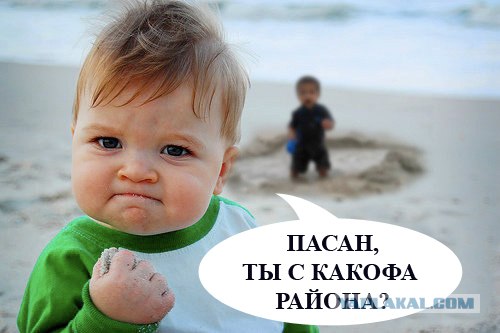 Фотожаба: Я вам покажу!