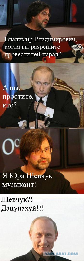 Шевчук и Путин (5 комиксов)