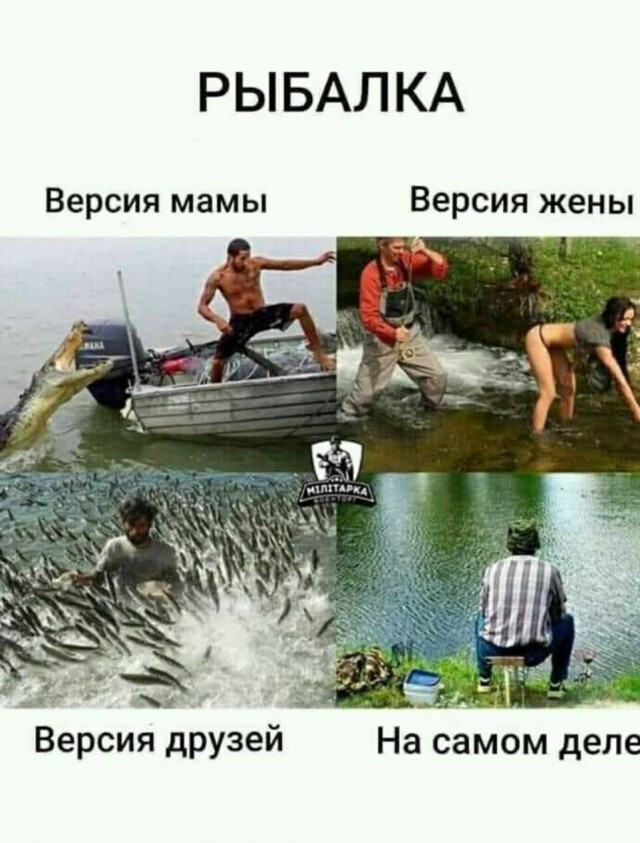 Фотки и картинки: юморные и красивые, забавные и милые 02.11.20