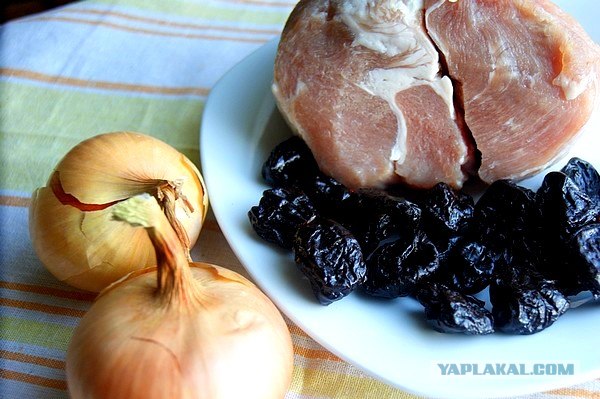 International одной книги., В память о Дженибеке.