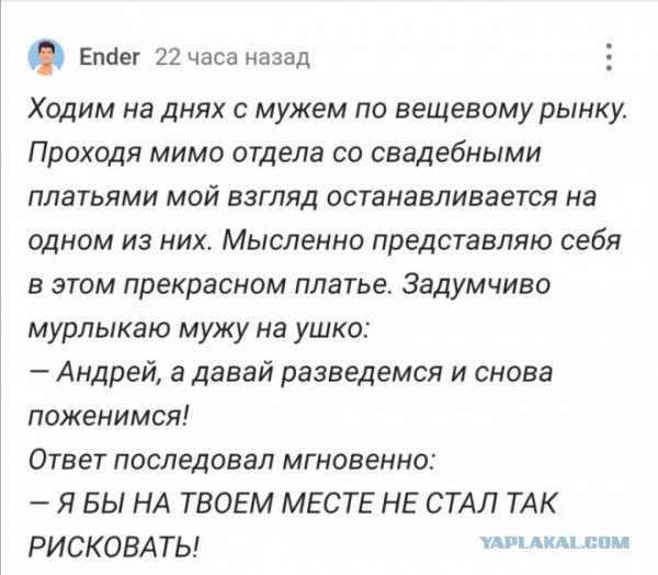 Весёлый полтишок 09.11