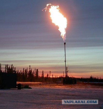 Газпром нашел применение «Северному потоку 2»