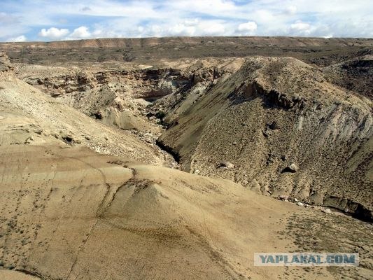 Поездка в казахстан