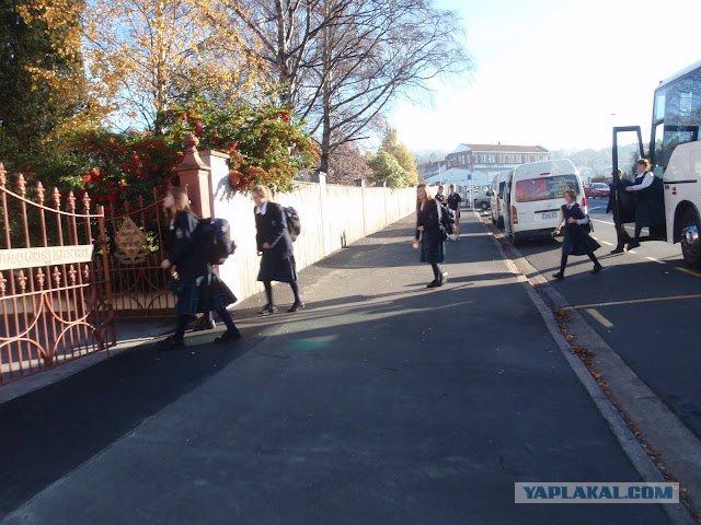 На машине по Новой Зеландии